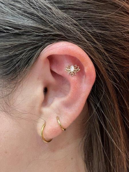 Piercing stud le havre 30 