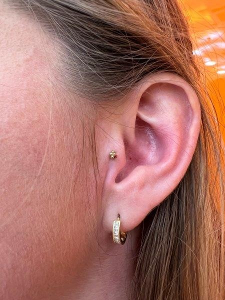 Piercing stud le havre 35 
