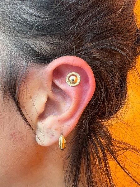 Piercing stud le havre 39 