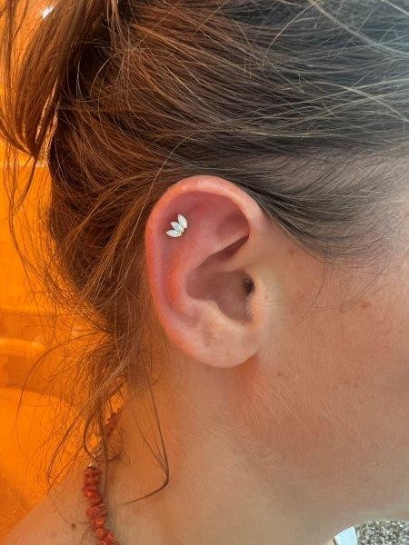 Piercing stud le havre 49 