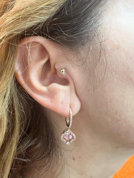 Piercing stud le havre 56 
