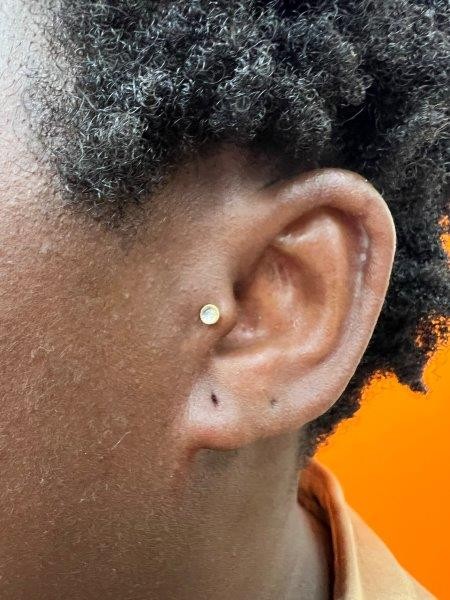 Piercing stud le havre 57 