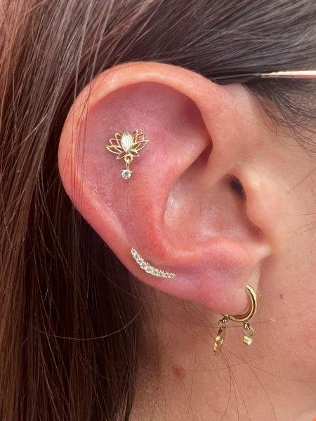 Piercing stud le havre 58 