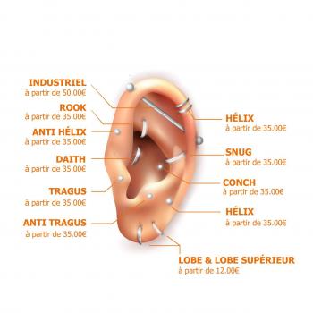 Oreille types de piercing stud le havre2 v2