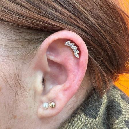 Piercing stud le havre 110 