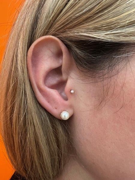 Piercing stud le havre 81 