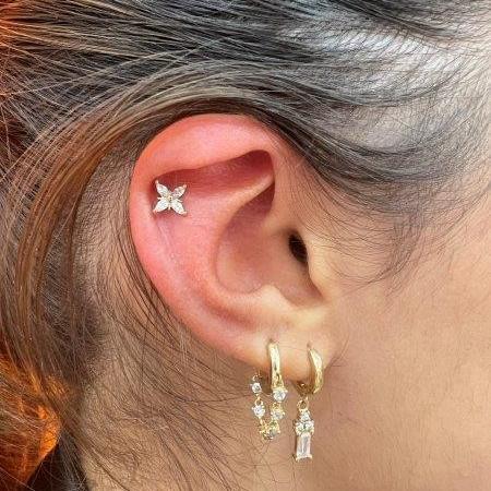 Piercing stud le havre 83 