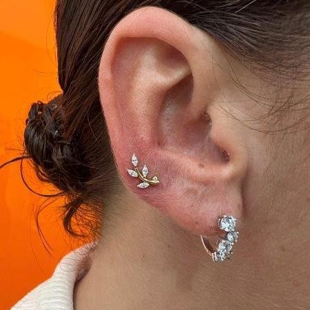 Piercing stud le havre 84 