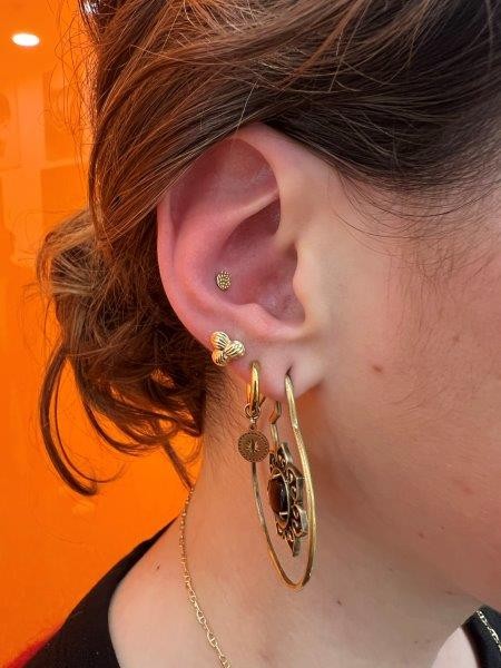 Piercing stud le havre 86 