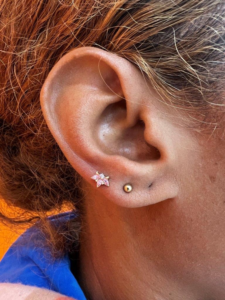 Piercing stud le havre 97 